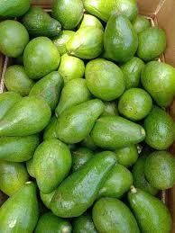 FRESH AVOCADO - Image 2