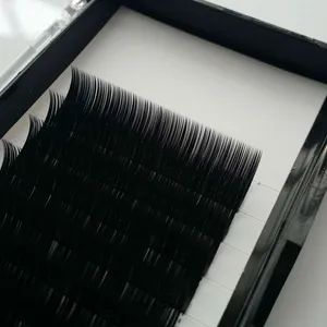 Korea Individual Lashes Different Curl Thickness Strip Lashes - Image 4