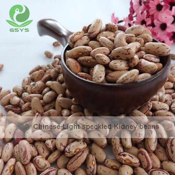 Light Speckled Kideny Beans - Image 3