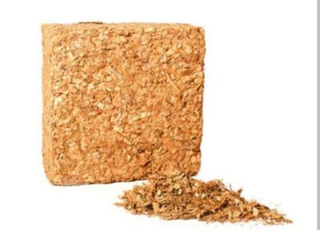 Coconut husk - Image 1