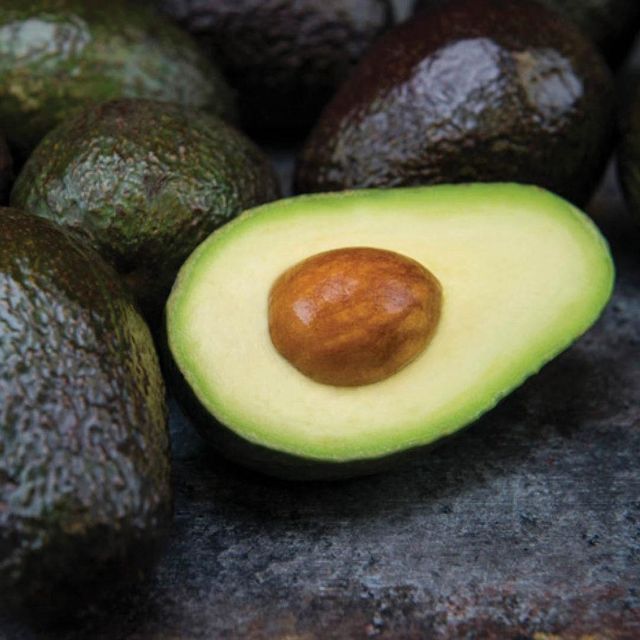 Carefully Selected Tropical Produce Featuring Fresh Avocado With Ripeness And Secure Packing For Wholesale - Image 5