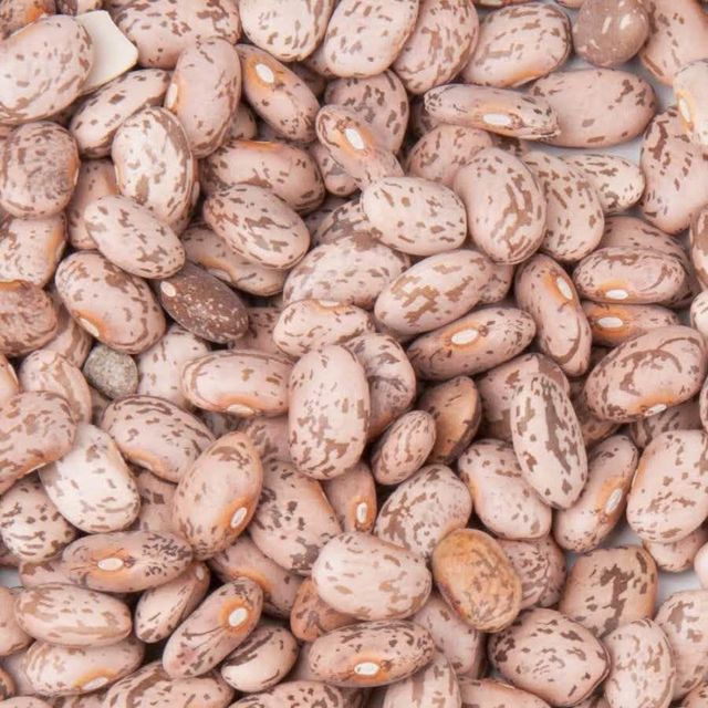 Premium Dried Organic Pinto Beans For Export With Clean Sorted Quality And Bulk Packed Legume Supply - Image 4