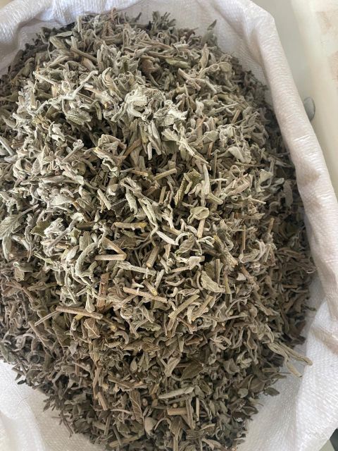 sage leaves Packaging 25kg Texture Velvety Color Gray-green Place of Origin Egypt Flavor Profile Pungent, Spicy, And Slightly Bitter - Image 1