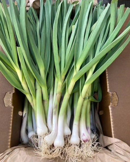 Fresh Green Vegetables Premium Fresh Green Onions Scallions 156g Bunch On Sale - Image 3