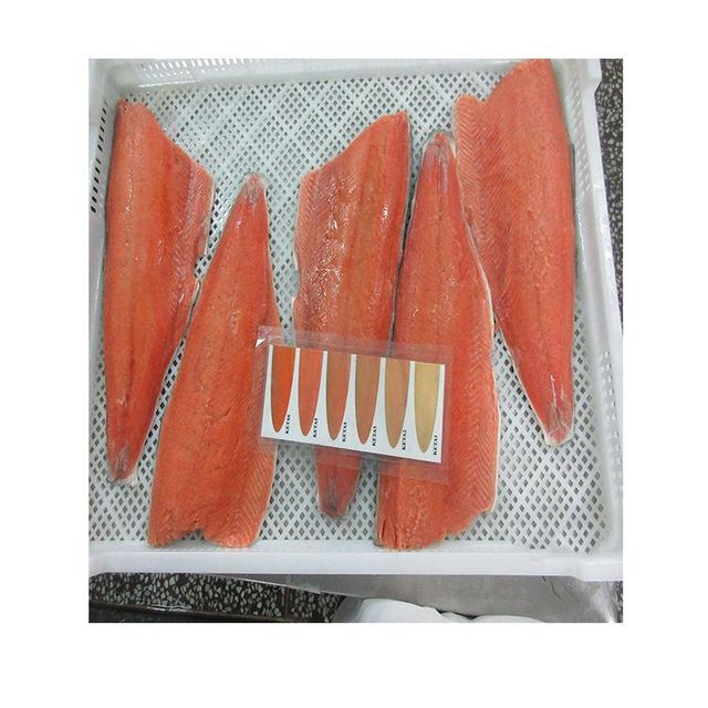 Fresh Norwegian Salmon Rich In Omega 3 Content Carefully Harvested For Retail Counters And Seafood Importers - Image 3