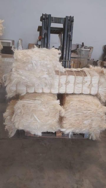 SISAL FIBER GRADE UG From Kenya Ready For Export - Image 5