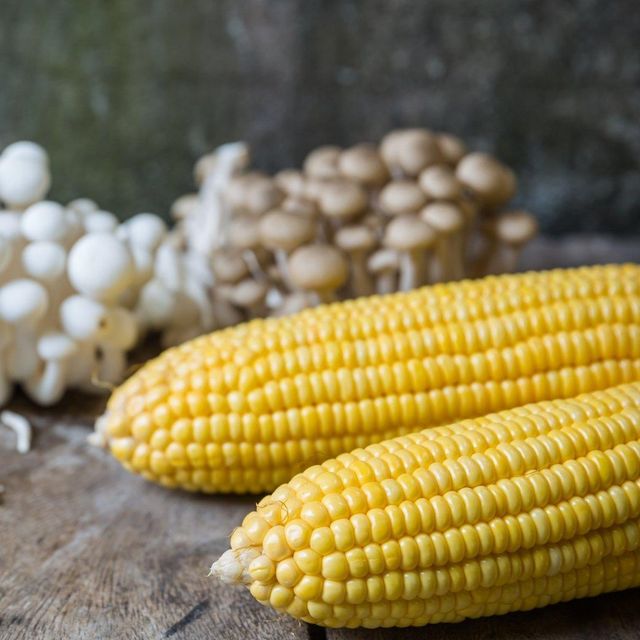 Fresh Harvested White/Yellow Maize With Cleaned Kernel Processing For Overseas Wholesalers And Global Grain - Image 5