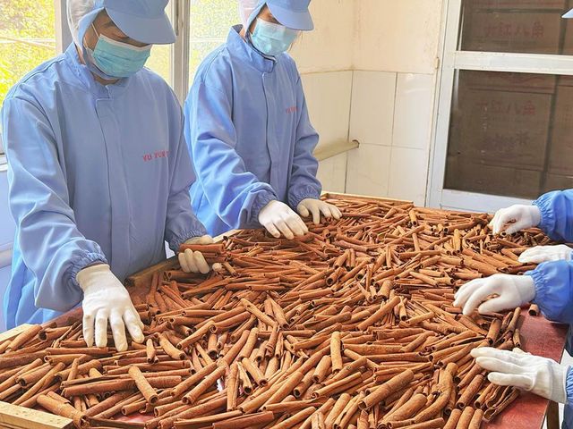 Quality Factory Competitive Price China Cinnamon Spices Single Herbs Length 8cm Cinnamon Stick for Cook - Image 4