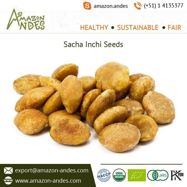 Premium Quality Organic Sacha Inchi Salty Nuts Snack From Peru - Image 4