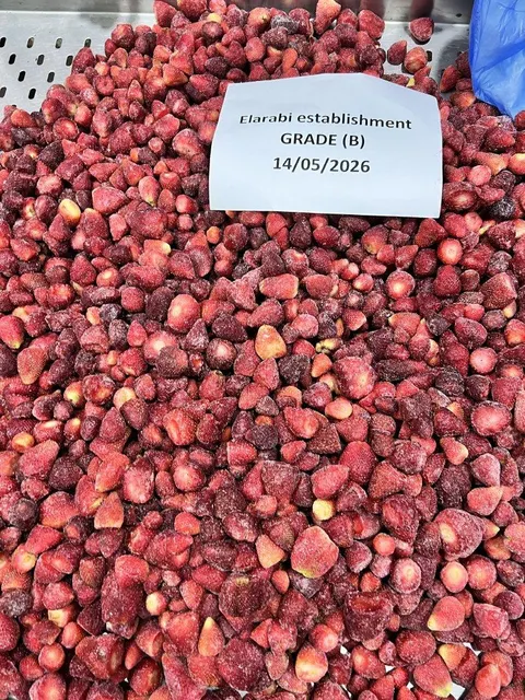 IQF Frozen Strawberry high FLAV WITHOUT SUGER GRADE (A - B - AB) – product photo 9, product detail gallery