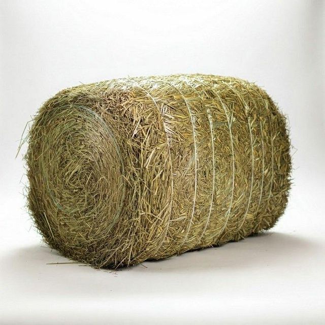 Hot Sale Alfalfa hay for Animal Feeding and Seeds Cheap Alfalfa hay Bales Packing Bulk Suppliers Cattle Feed and Horse Feed - Image 4
