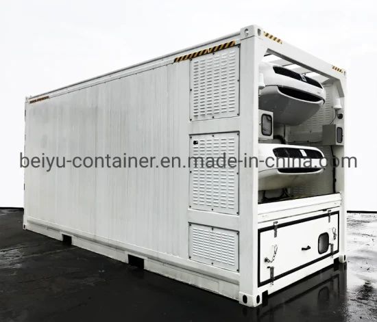 Special Reefer Shipping Container with Dual Refrigerated Machine and Fuel Tank - Image 1