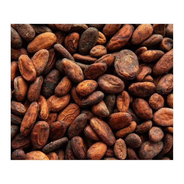 Cocoa Beans 100% Natural | Grade a | 10kg | Cocoa Beans - Image 3