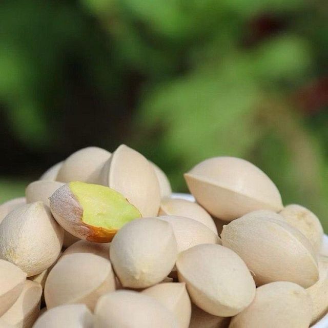Premium Quality Ginkgo Nuts For Healthy Snacking Rich Natural Flavor Buy Online At Best Price - Image 4