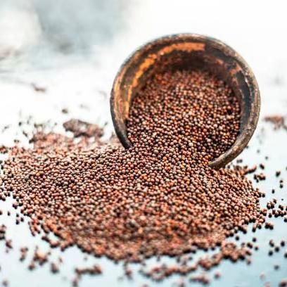 Natural Premium Grade Mustard Seeds Wholesale | Suitable for Oil Pressing, Culinary Use, Seasoning Production, Pickling, and Food Manufacturing with Flexible Packaging and International Shipping - Image 3