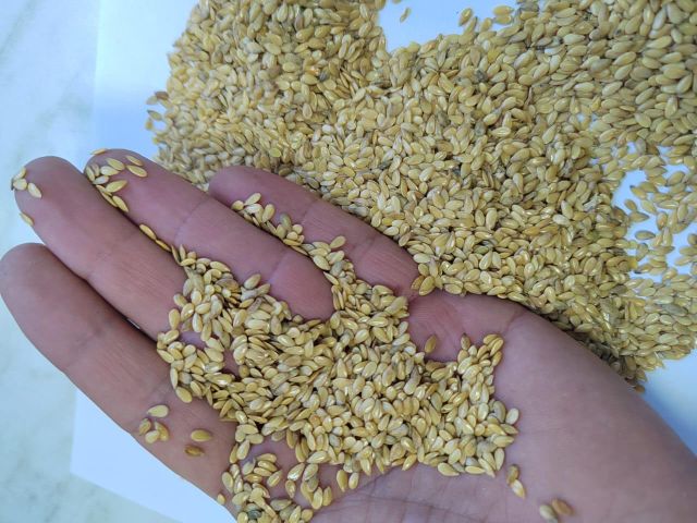 Linseeds - Image 2