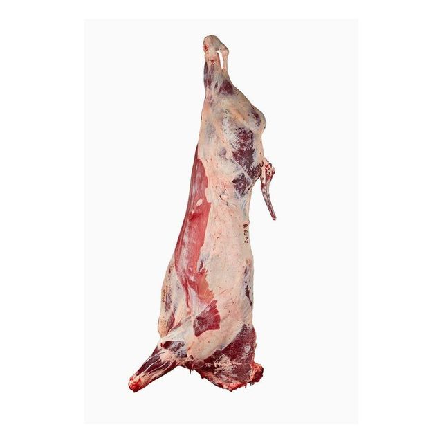Fast delivery frozen pork carcass for bulk purchasing export trade and commercial supply - Image 2