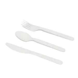 Compostable Heavyweight Disposable Cpla Spoons Eco Friendly Compostable Spoons - Image 6