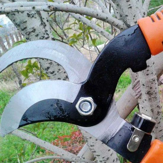 Hand Pruners Grape Scissors Size 605mm Brand Mofix Origin China Usage Pruning Condition New Trademark MOFIX Blade Tip - Image 4