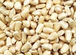 Grade A Yellow and White Maize Corn Wholesale Bulk Supply Export Quality Animal Feed for Cattle - Image 3