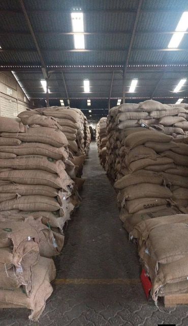Arabic coffee Beans screen 16 to 18 – product photo 3, product detail gallery