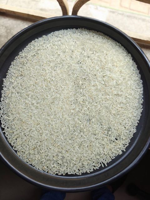Sona Masoori Rice - Image 1