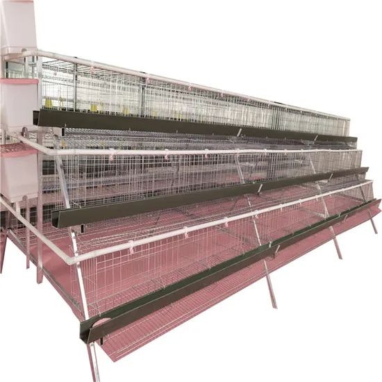 Automatic Egg Layer Chicken Coop for Poultry Farming - Image 3