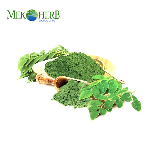 HERBAL MORINGA TEA BRAND MEKONG HERBALS FROM VIETNAM - Image 3