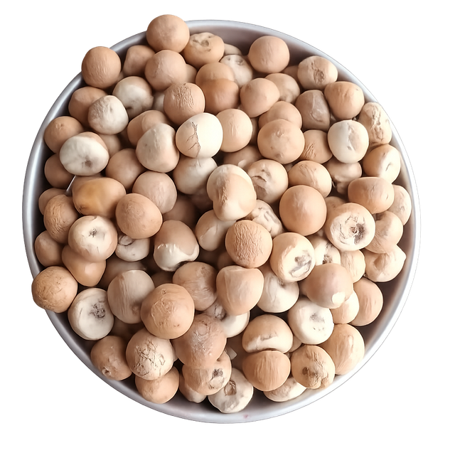 Dried Betel Nut (Supari), Areca nut - Image 1