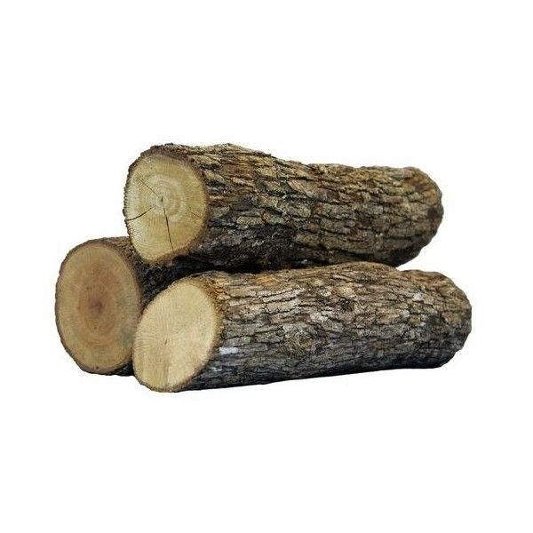Direct Supplier Of Oak Timber LOGS | Oak Wood Round Logs At Wholesale Price - Image 3