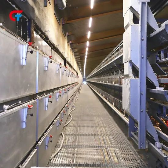Battery Automatic Factory Made 2024 New Design Poultry Farm Layer Cage - Image 4