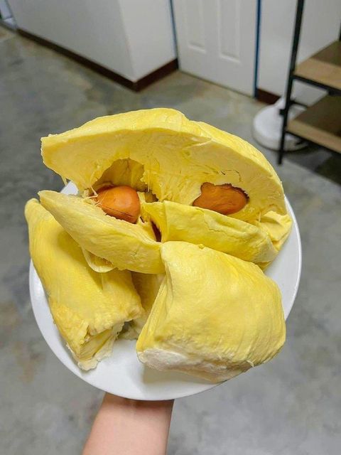 Premium Fresh Organic Whole Durian Mon Thong King of Fruits Original Taste From Thailand Rich & Creamy 3-4 PCS/BOX (Whole) - Image 5