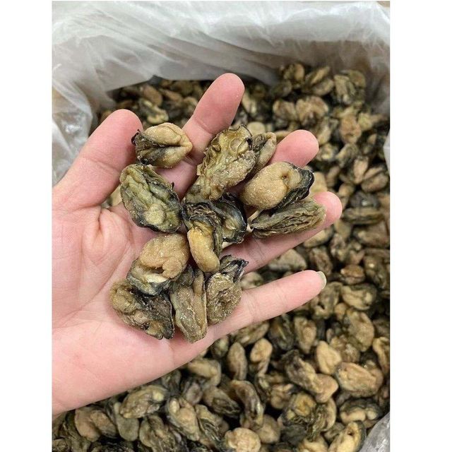 Protein New Salt BQF Freezing Process Air Without Shell Sun-dried Oysters [100GRAMS] In Gift Packing For cooking - Image 1