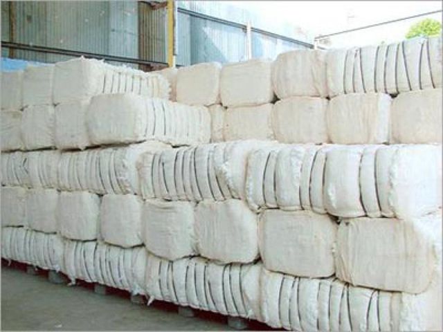 Raw Cotton Bales – Buy Direct from Supplier Online - Image 3