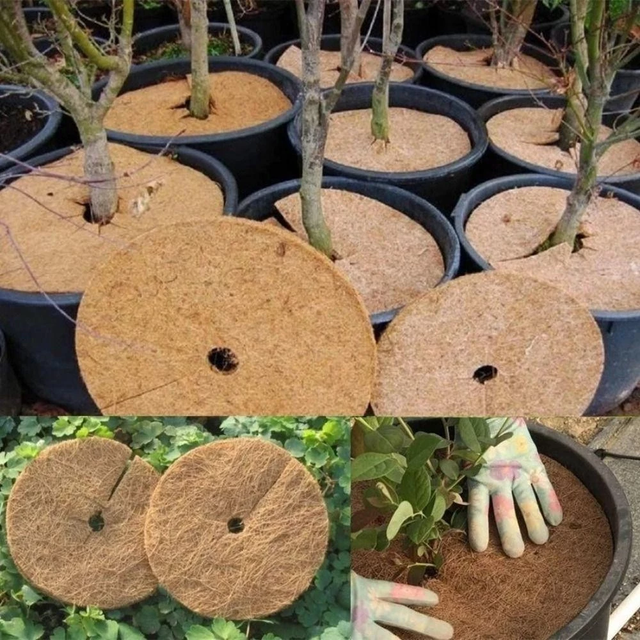 Bio Mulch Coir Mat - Organic Protection for Roots Shape Round Type Coconut Mat Packaging Bag PE, Carton - Image 5