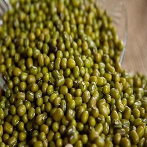 Green Mung Beans, Affordable High Quality, Wholesale Bulk Orders - Image 2