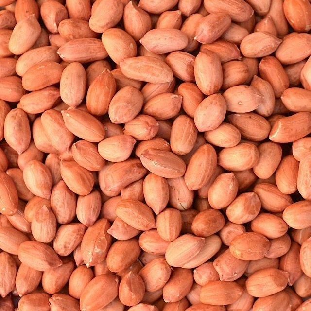 Buyers for Wholesale Jumbo Raw Peanuts High Quality Natural Bold Blanched Peanuts Kernels - Image 3