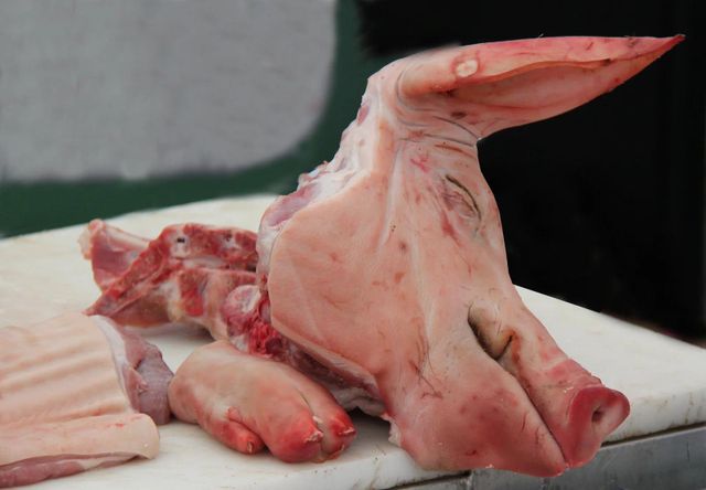 Wholesale Top Grade IQF Frozen Pork Head Meat with Vitamins Box Packaging - Image 4
