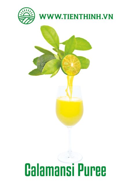 Frozen Calamansi juice NFC Ph 2.0 – 2.8 Origin Vietnam Brix 8.0 Minimum Coliforms <10 Cfu/g Foreign Matter None Insoluble Solid 6% Max - Image 1