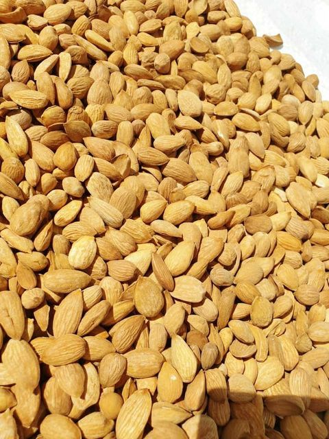 Almond kernel - Image 1