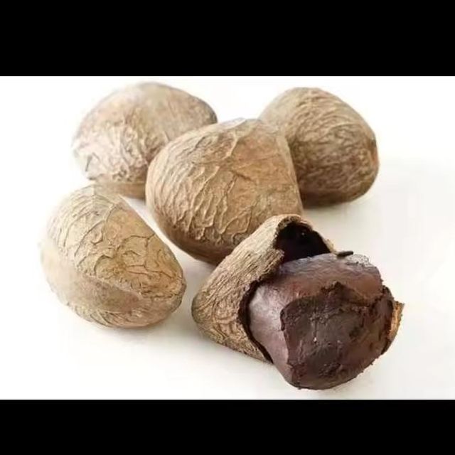 PANGIUM EDULE Dried Fruit Style Dried Part Fruit Product Content - Style Dried Shelf Life - Ingredients - Storage Type - Image 1