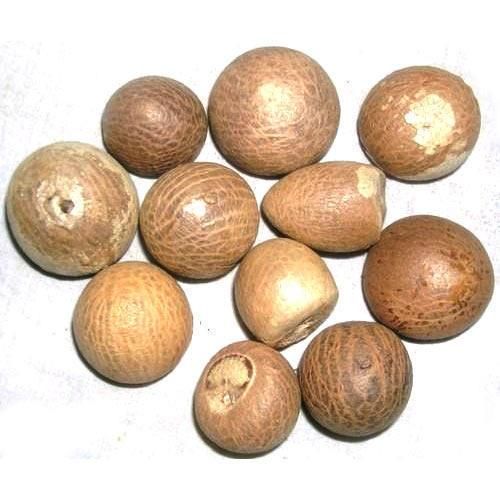 BETEL NUTS Grade AA Type NUTS Shape ROUND Drying Process SUN Packaging 50KG BAGS Shelf Life 24 MONTHS Max. Moisture (%) - Image 2