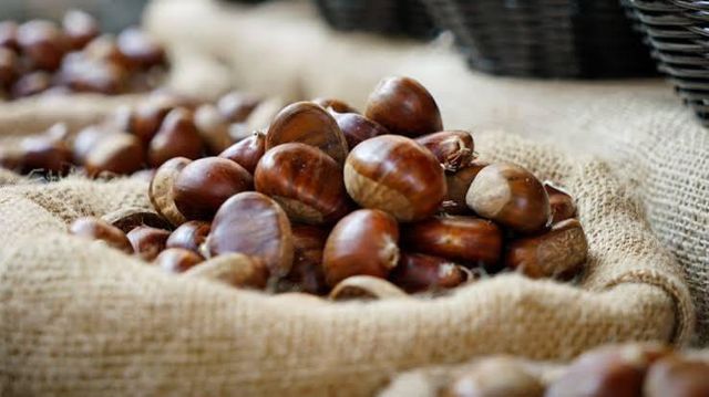 Organic Premium Quality Dried Whole Chestnuts French High Quality Fast Shipping Best Price Bulk Order Available Raw - Image 2