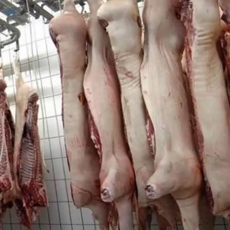 Fresh Frozen Whole Pork High Quality Meat Tender Texture Wholesale Price Perfect For Retail And Food Service - Image 2