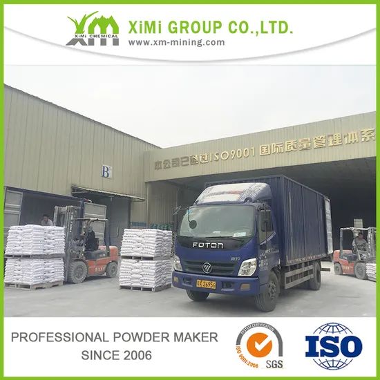 600 Mesh 92% Whiteness Talc Powder for Emulsion Paint - Image 2
