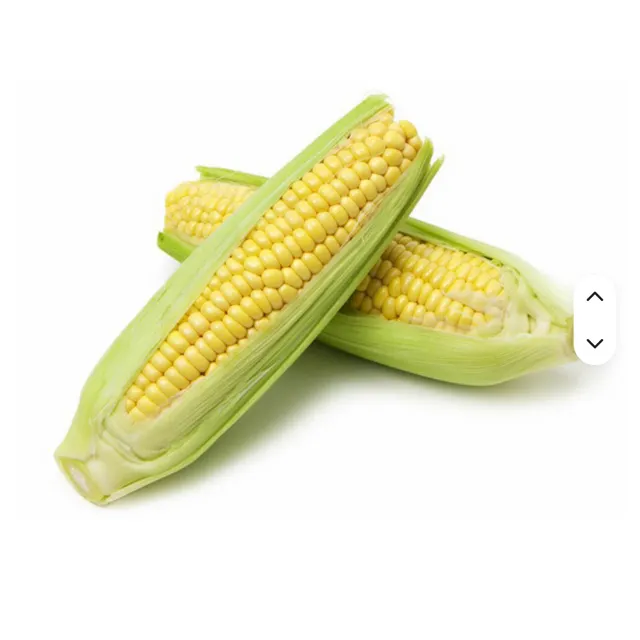 Superior Yellow Maize Corn Dried Kernels For Food Processing And Livestock - Image 1