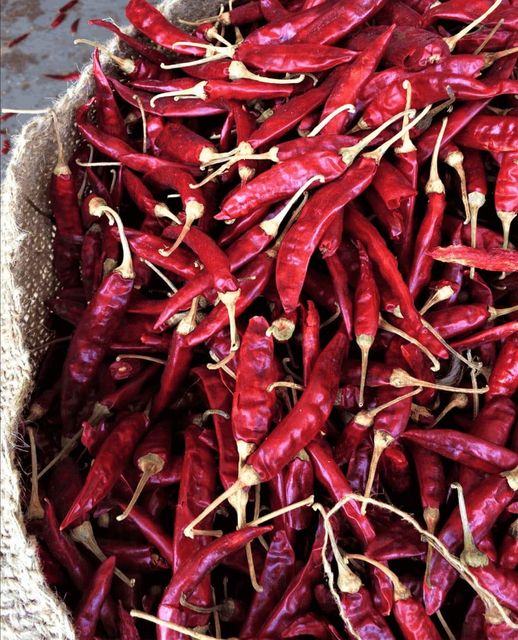 Dry Red Chilli - Image 4