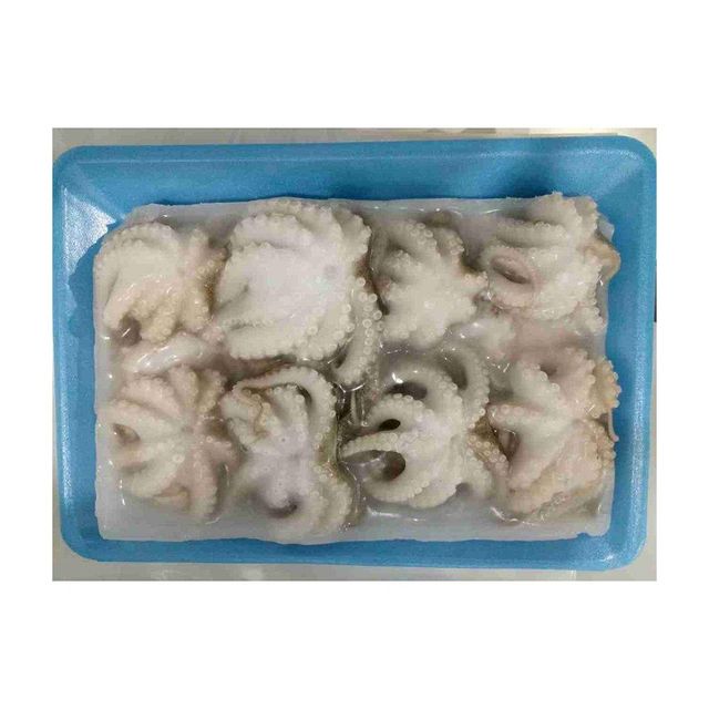 High quality frozen baby octopus whole available for bulk buyers with fast dispatch - Image 2
