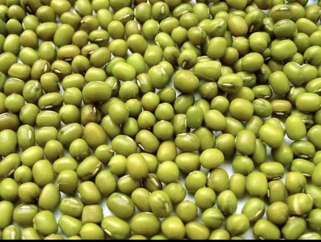 Premium Green Mung Beans Wholesale Bulk Supply Export Quality for Food Processing and Retail - Image 4