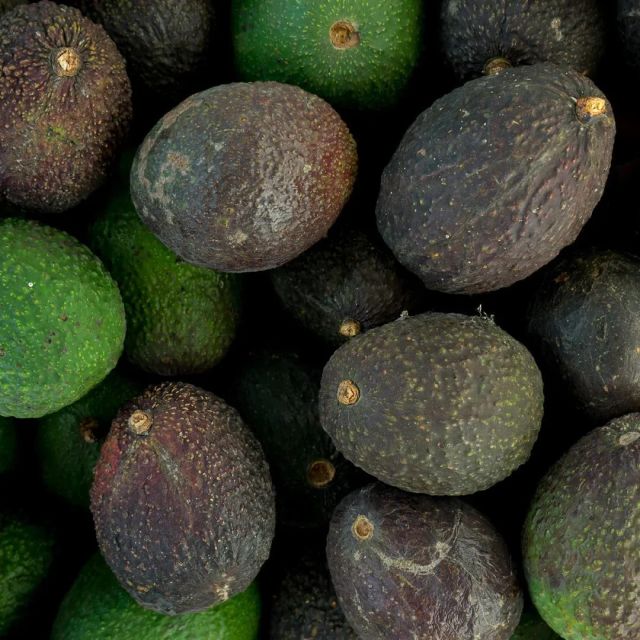 Premium Fresh Avocados - Image 3